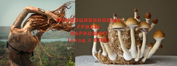спайс Костерёво