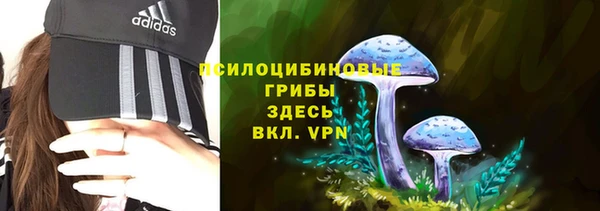 спайс Костерёво