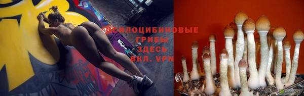 стафф Красноперекопск